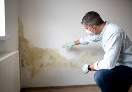 Understanding The Impact Of Mold Remediation On Residential Appraisals In Tri-Cities, WA